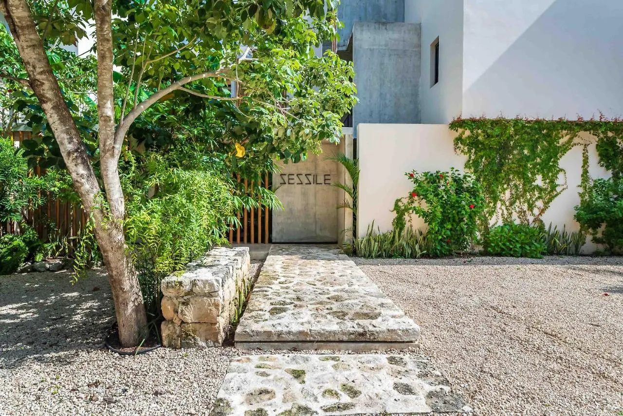 Apartment Luxury Apartament With Private Plunge Pool - Ground Floor Tulum Mexico