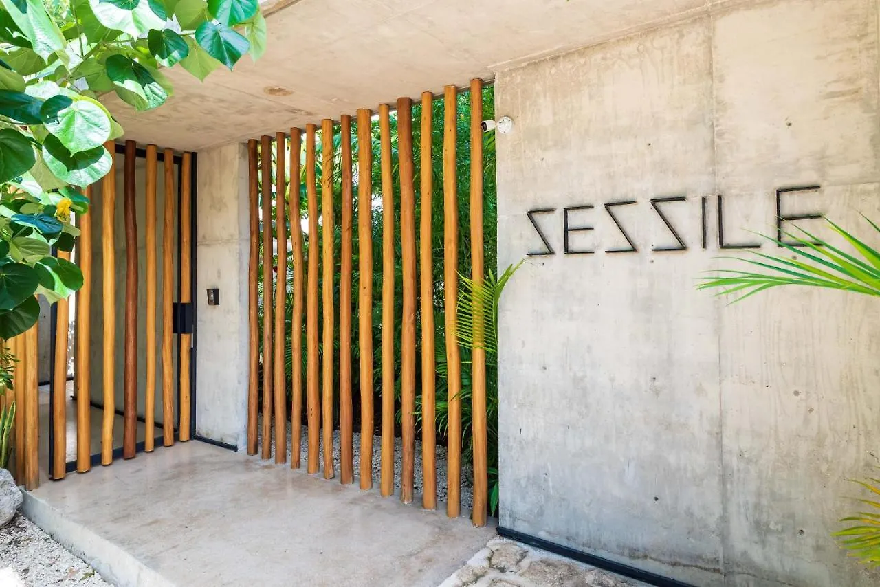 Luxury Apartament With Private Plunge Pool - Ground Floor Tulum