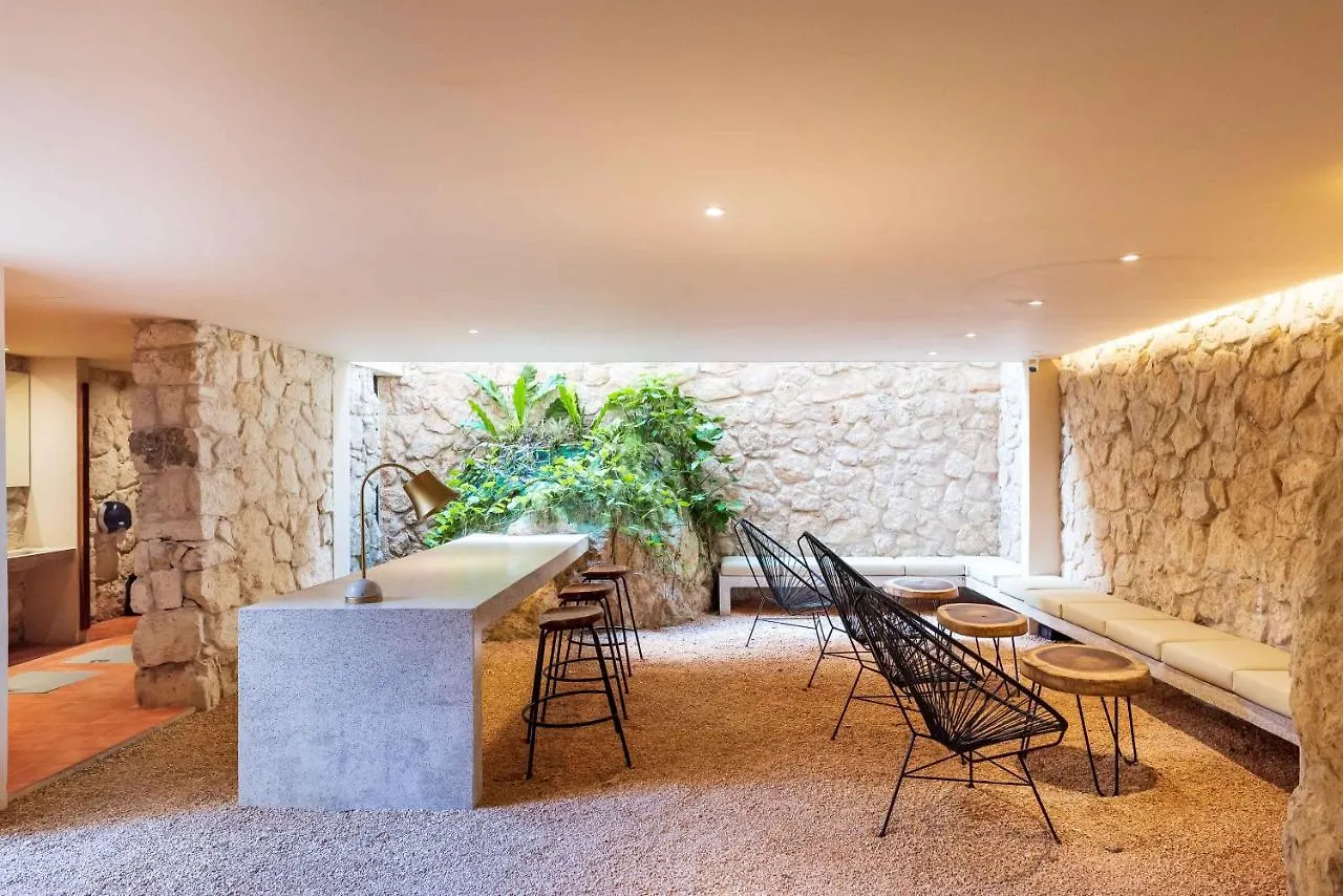 Apartment Luxury Apartament With Private Plunge Pool - Ground Floor Tulum